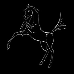 Obraz na płótnie Canvas the horse reared, drawing, vector drawings izoliorovanny symbol, logo icon