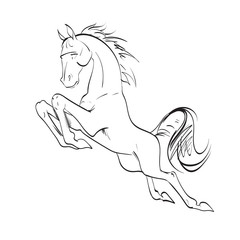 the horse reared, drawing, vector drawings izoliorovanny symbol, logo icon
