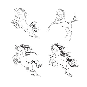 the horse reared, drawing, vector drawings izoliorovanny symbol, logo icon