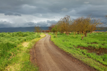 Early spring in Israel. Clouds Before the Rain Began, green grass,trees and clear air