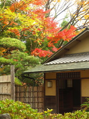 秋の松雲亭