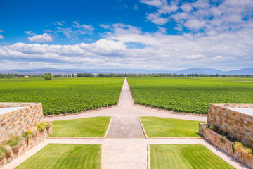 Winery in Mendoza, Argentina