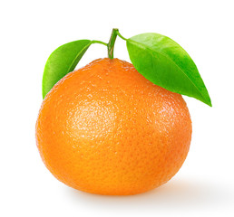 One isolated tangerine