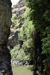 Obraz premium Golan Heights gorge landscape.