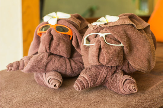 Dog Folded From Brown Towel,wear Eye Glass Ans Flower On Head At