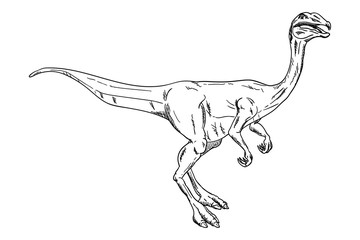 Obraz na płótnie Canvas vector - dinosaur
