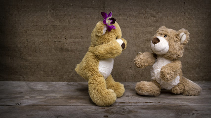 Obraz premium Heiratsantrag