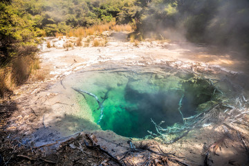 Turquoise colored steaming hot mineral pool in native bush at Tokaanu thermal park near Taupo Lake in North Island New Zealand