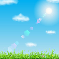 Fototapeta premium Spring background with green grass