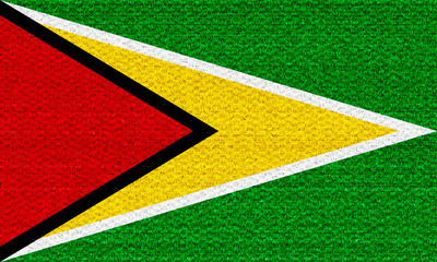 Guyana flag