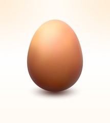 Realistic egg, vector illustration.