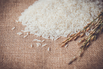 jasmine rice grain on jute cloth,vintage color tone