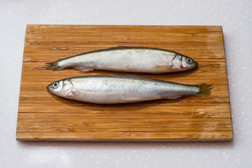smelt fishes on white background