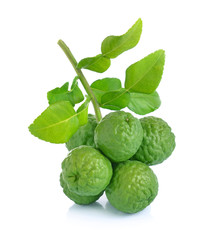  Bergamot on white background.