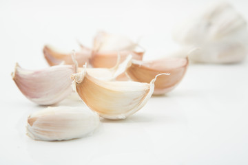 garlic on white background