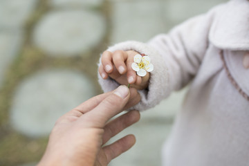 梅の花を手渡す親子