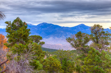 Nevada-Great Basin National Park-This is the Osceola Ditch Trail, which leads to the remnants of an 18 mile channel built by gold miners in the 1880's.