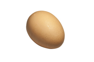 Egg, Chicken Egg