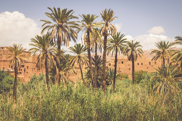 Tinerhir village near Georges Todra at Morocco