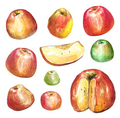 Apples painted with watercolors on white paper. 