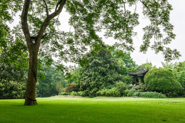 Green natural scenery in Chinese traditional garden