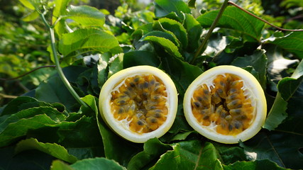 Close up of passion fruit, selective focus.