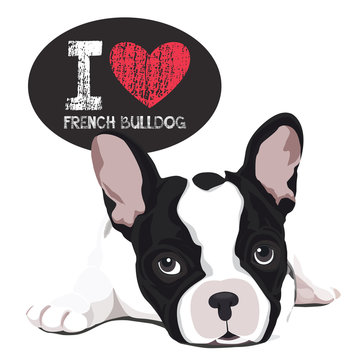 I Love French Bulldog