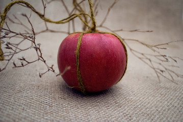 Red sweet apple on fabric background