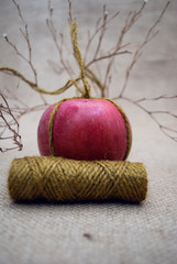 Red sweet apple on fabric background