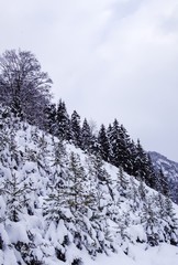 Schneebedeckter Hügel