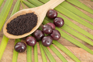 The amazon acai fruit.