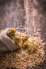 barley and hops on wooden table , beer