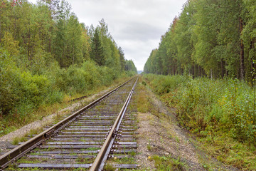 railway in forest area