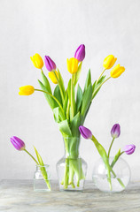 Bunch of spring tulips flowers in glass pot on white background