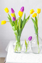 Bunch of spring tulips flowers in glass pot on white background