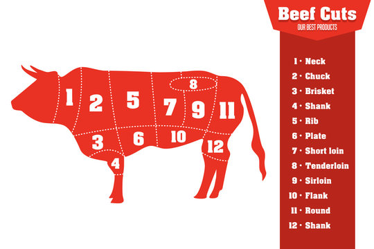Beef cuts infographic set of meat parts, vector