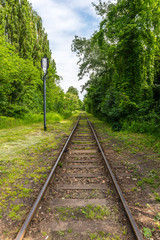 Railway track crossing the wood - obrazy, fototapety, plakaty