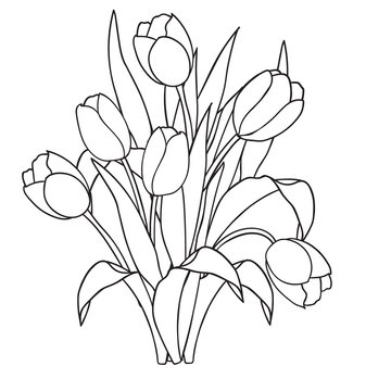 Tulips , flowers, ornamental black and white coloring pages.