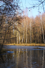 Fototapeta na wymiar partly frozen lake in the forest in autumn