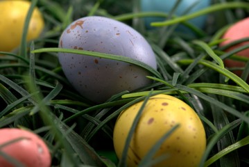 Easter Egg Close Up
