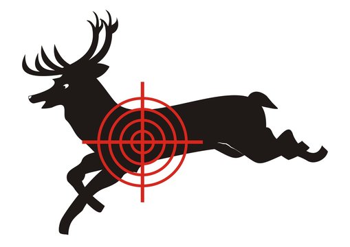 deer, target