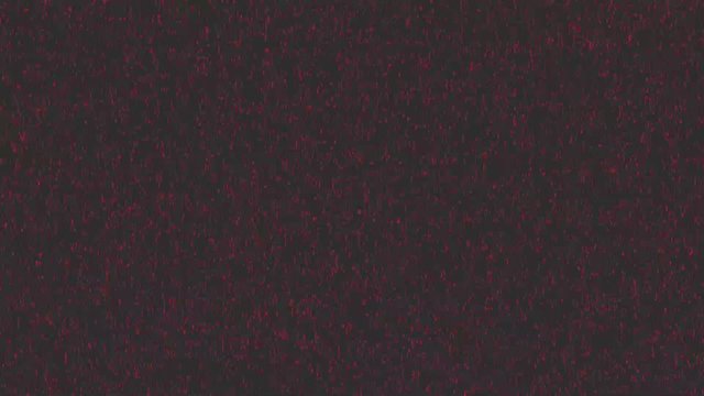 深々と降り続ける雪