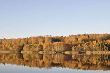 Fototapeta premium Splendid autumn forest near the lake 
