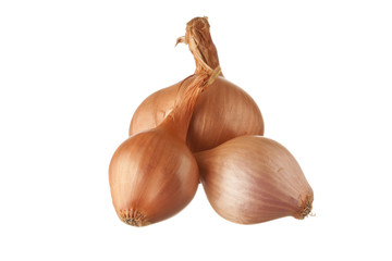 Group of three shallots