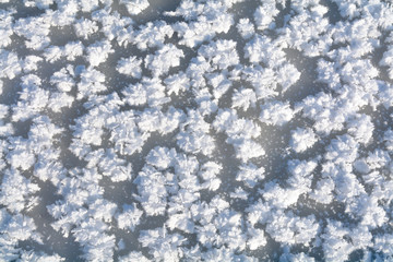 Fresh snow background. Texture with fresh snow on frozen ice lak