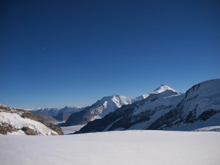 The Aletsch Glacier from Jungfraujoch