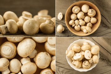 fresh mushrooms on wooden background, Collage