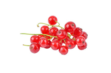 Red currant on white