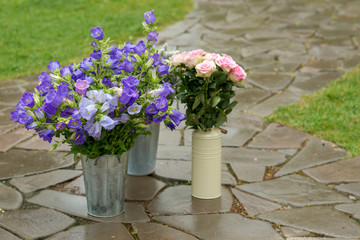 Buckets and cans with flowers. Blue bells and pink rose.