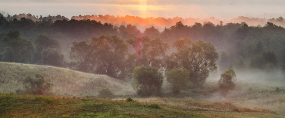 wschód słońca nad zamglonym lasem i łąką © Mike Mareen